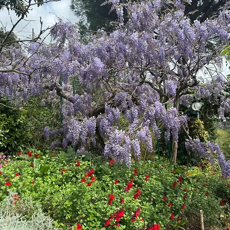 Appartamento “da Gio” In Un Antico Borgo Di *