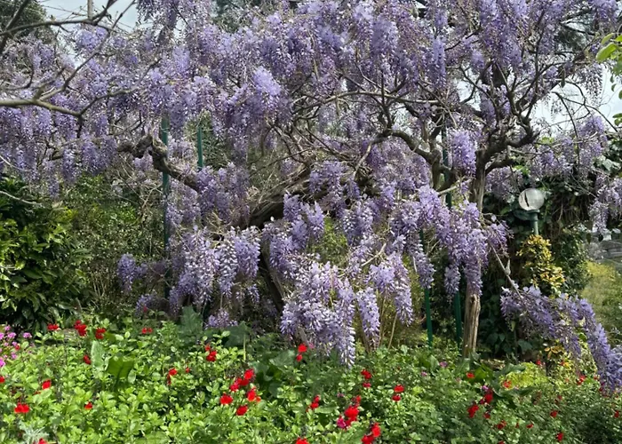 Lejlighed “da Gio” In Un Antico Borgo Di *
